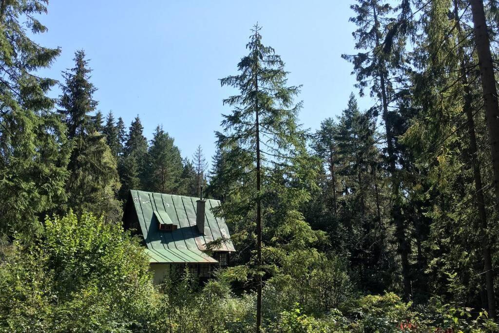 Enchanted Forest Chalet Tatranska Strba Luaran gambar