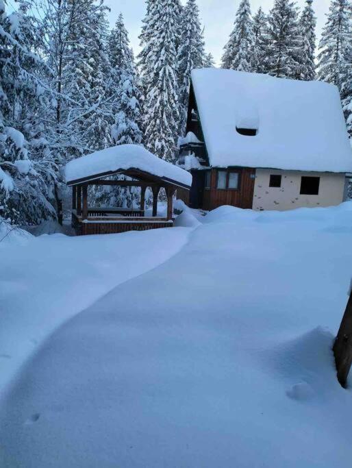 Enchanted Forest Chalet Tatranska Strba Luaran gambar