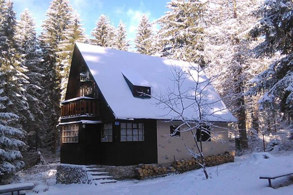 Enchanted Forest Chalet Tatranska Strba Luaran gambar
